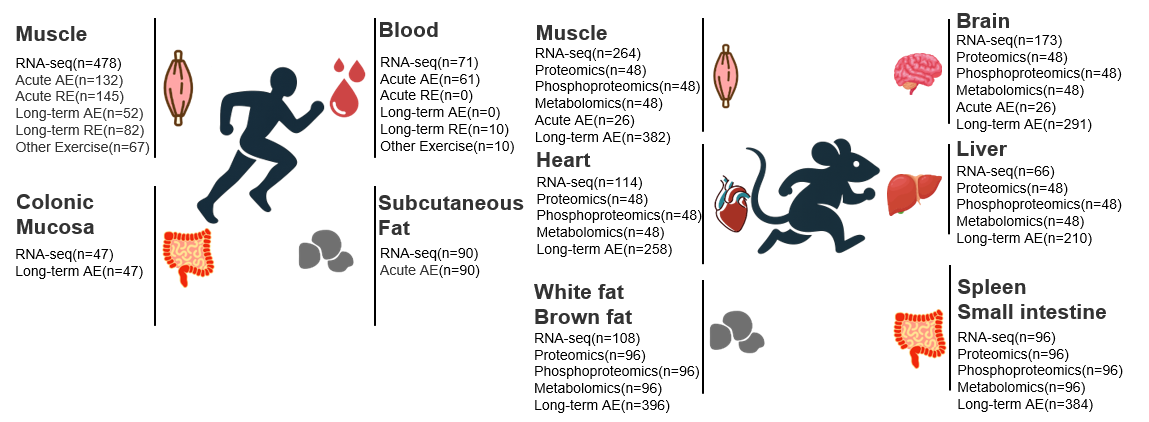 Description of the sample1